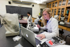An ecology and evolutionary biology student works on a collection project of aquatic life at the Dana Building.
