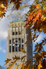 Burton Memorial Tower is framed by fall leaves.